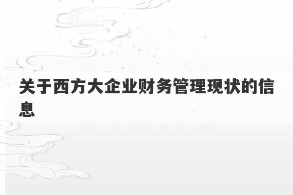 关于西方大企业财务管理现状的信息