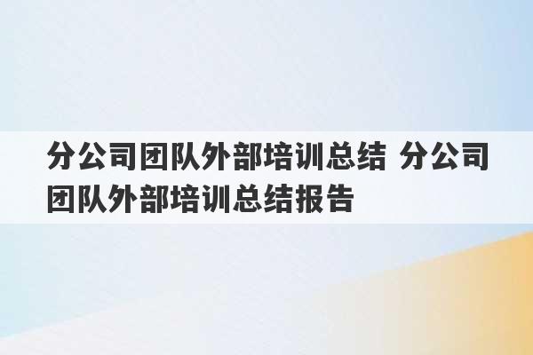 分公司团队外部培训总结 分公司团队外部培训总结报告