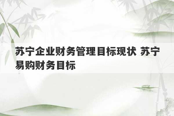 苏宁企业财务管理目标现状 苏宁易购财务目标