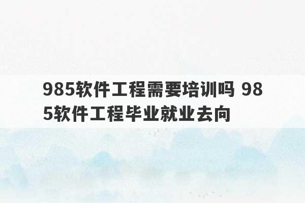 985软件工程需要培训吗 985软件工程毕业就业去向