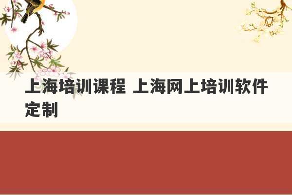 上海培训课程 上海网上培训软件定制