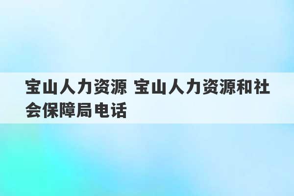 宝山人力资源 宝山人力资源和社会保障局电话