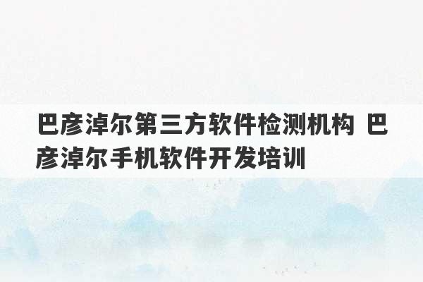 巴彦淖尔第三方软件检测机构 巴彦淖尔手机软件开发培训