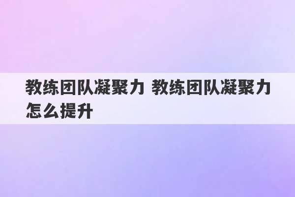 教练团队凝聚力 教练团队凝聚力怎么提升