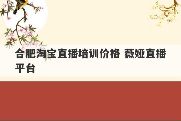 合肥淘宝直播培训价格 薇娅直播平台