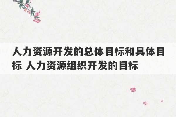 人力资源开发的总体目标和具体目标 人力资源组织开发的目标