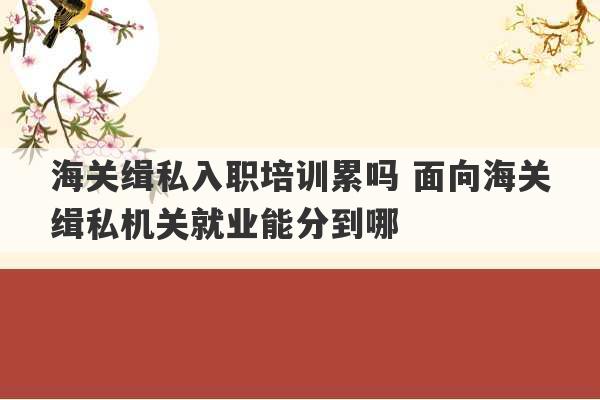 海关缉私入职培训累吗 面向海关缉私机关就业能分到哪