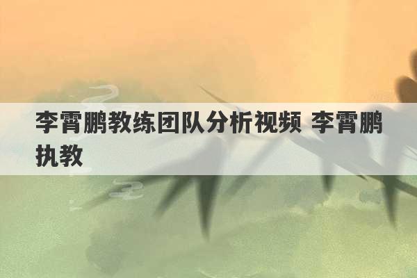 李霄鹏教练团队分析视频 李霄鹏执教