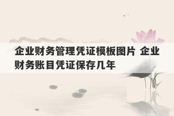 企业财务管理凭证模板图片 企业财务账目凭证保存几年