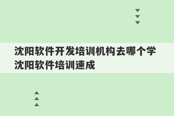 沈阳软件开发培训机构去哪个学 沈阳软件培训速成