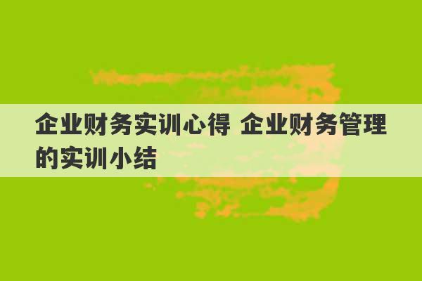 企业财务实训心得 企业财务管理的实训小结