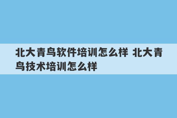 北大青鸟软件培训怎么样 北大青鸟技术培训怎么样