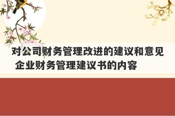 对公司财务管理改进的建议和意见 企业财务管理建议书的内容