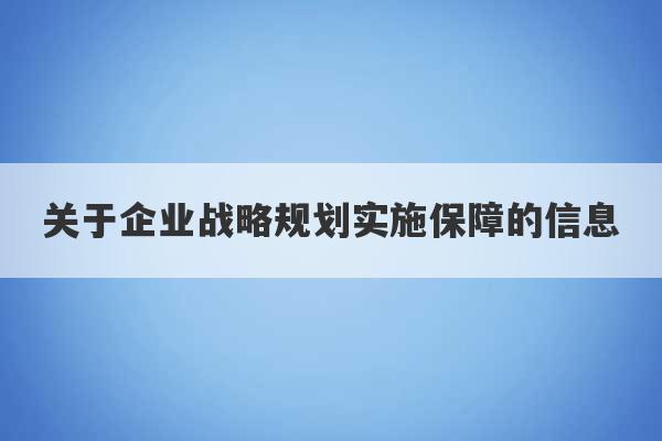 关于企业战略规划实施保障的信息