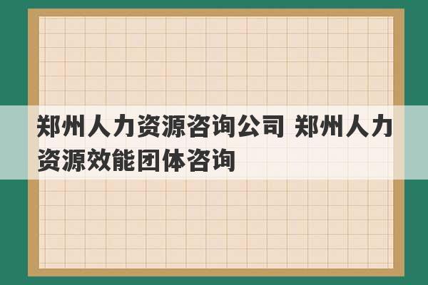 郑州人力资源咨询公司 郑州人力资源效能团体咨询