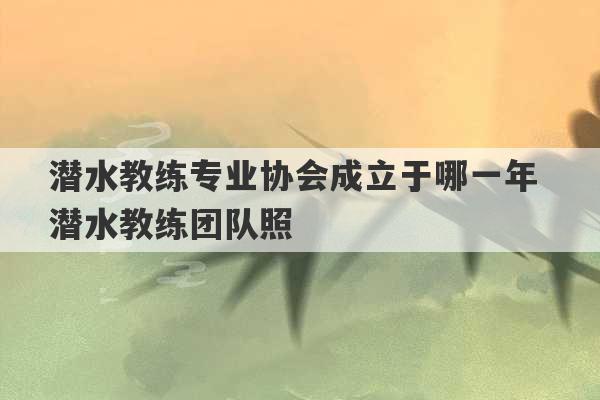 潜水教练专业协会成立于哪一年 潜水教练团队照