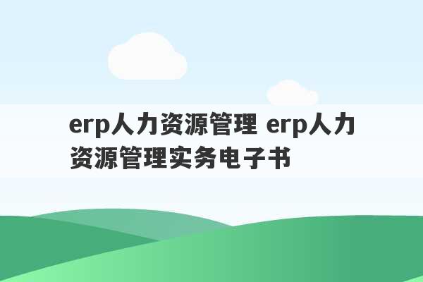 erp人力资源管理 erp人力资源管理实务电子书