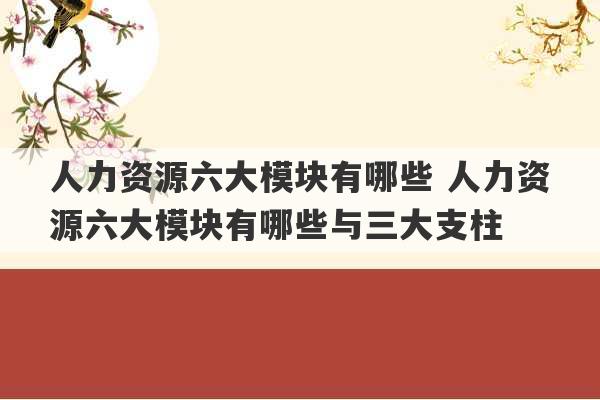 人力资源六大模块有哪些 人力资源六大模块有哪些与三大支柱