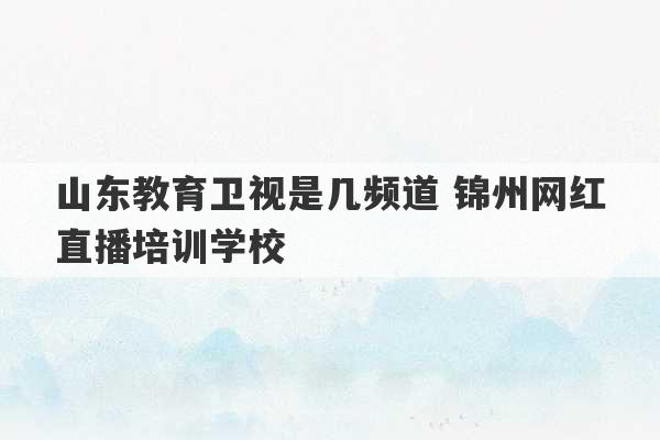 山东教育卫视是几频道 锦州网红直播培训学校