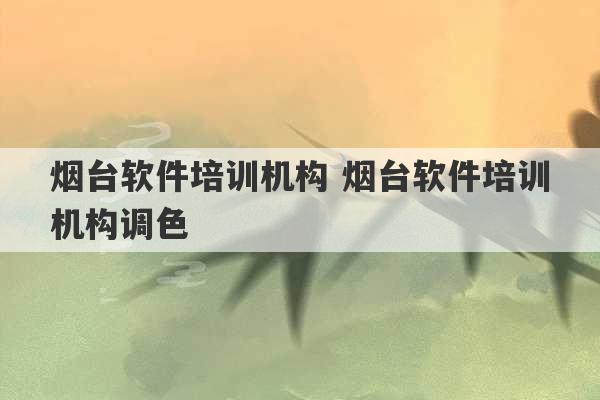 烟台软件培训机构 烟台软件培训机构调色