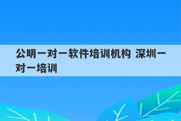 公明一对一软件培训机构 深圳一对一培训