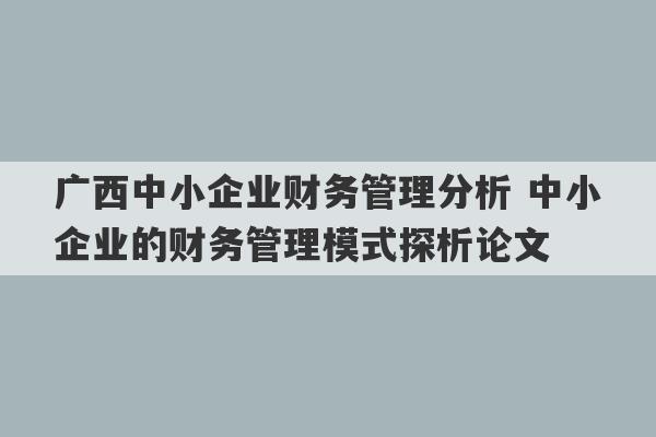 广西中小企业财务管理分析 中小企业的财务管理模式探析论文