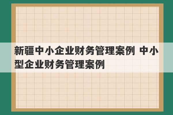 新疆中小企业财务管理案例 中小型企业财务管理案例