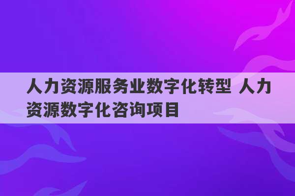 人力资源服务业数字化转型 人力资源数字化咨询项目