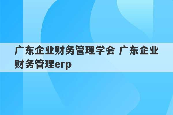 广东企业财务管理学会 广东企业财务管理erp