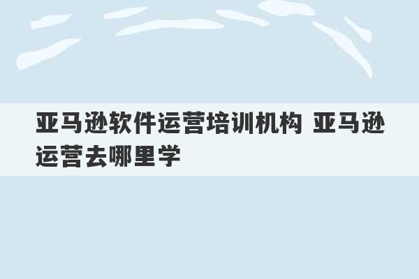 亚马逊软件运营培训机构 亚马逊运营去哪里学