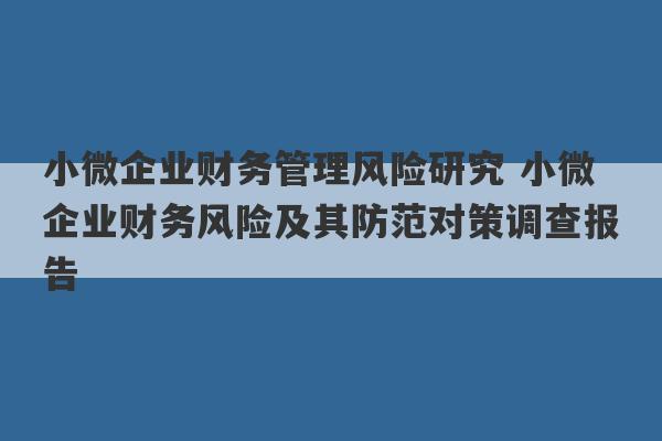 小微企业财务管理风险研究 小微企业财务风险及其防范对策调查报告