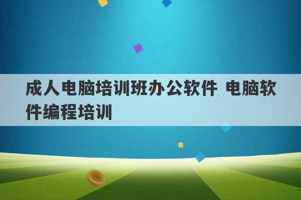 成人电脑培训班办公软件 电脑软件编程培训