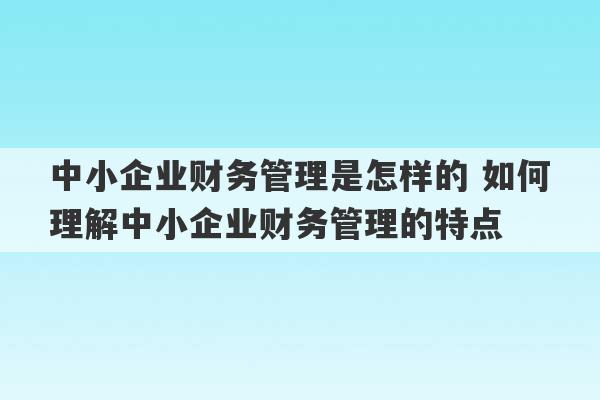 中小企业财务管理是怎样的 如何理解中小企业财务管理的特点