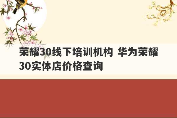 荣耀30线下培训机构 华为荣耀30实体店价格查询