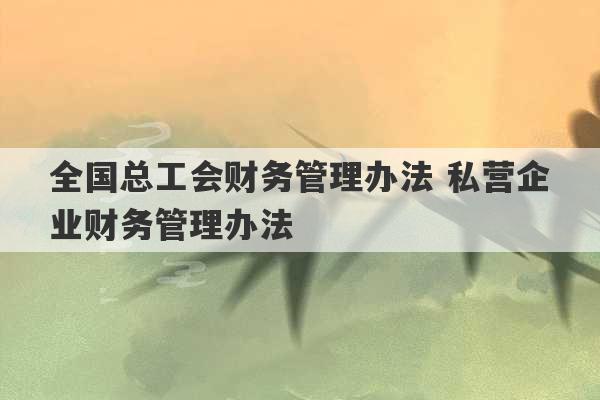 全国总工会财务管理办法 私营企业财务管理办法