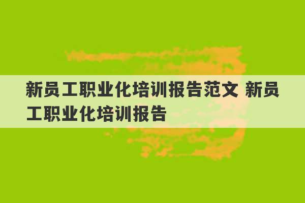 新员工职业化培训报告范文 新员工职业化培训报告