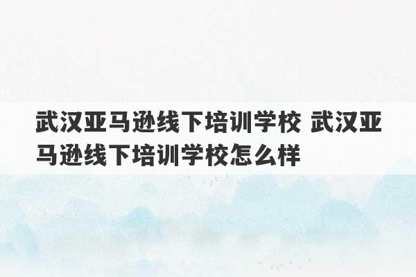 武汉亚马逊线下培训学校 武汉亚马逊线下培训学校怎么样