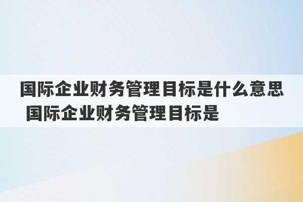 国际企业财务管理目标是什么意思 国际企业财务管理目标是