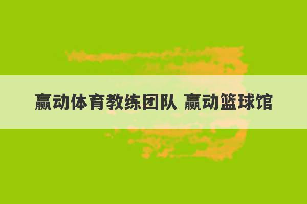 赢动体育教练团队 赢动篮球馆