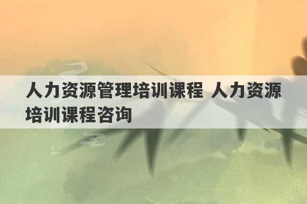 人力资源管理培训课程 人力资源培训课程咨询