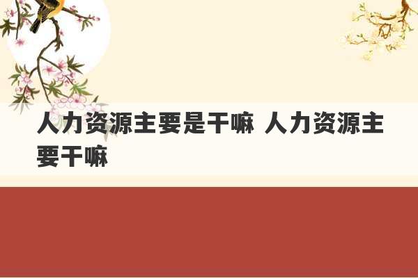 人力资源主要是干嘛 人力资源主要干嘛