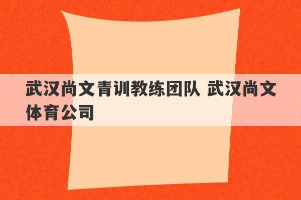 武汉尚文青训教练团队 武汉尚文体育公司