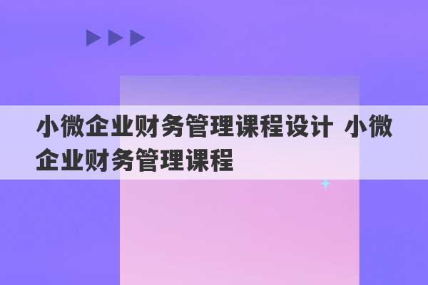 小微企业财务管理课程设计 小微企业财务管理课程