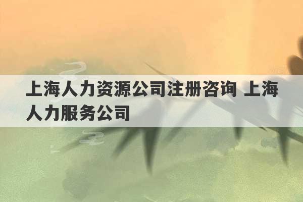 上海人力资源公司注册咨询 上海人力服务公司