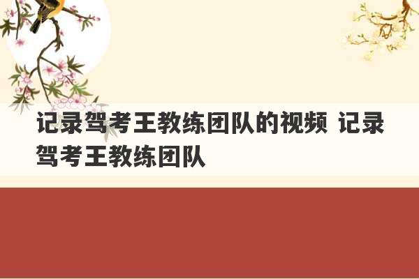 记录驾考王教练团队的视频 记录驾考王教练团队