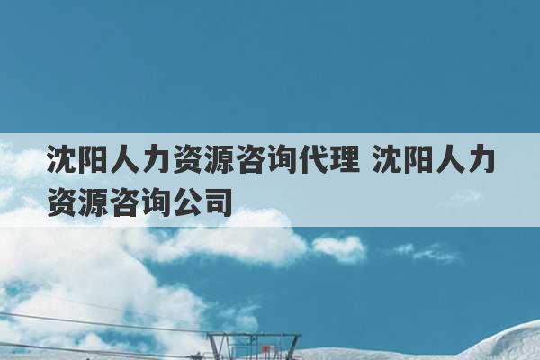 沈阳人力资源咨询代理 沈阳人力资源咨询公司