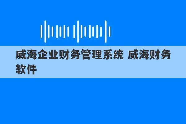 威海企业财务管理系统 威海财务软件