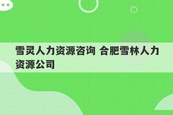 雪灵人力资源咨询 合肥雪林人力资源公司