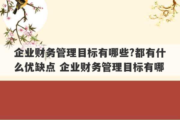 企业财务管理目标有哪些?都有什么优缺点 企业财务管理目标有哪