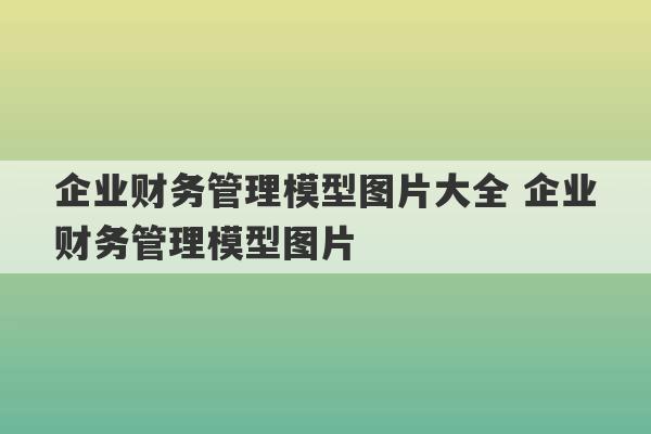 企业财务管理模型图片大全 企业财务管理模型图片